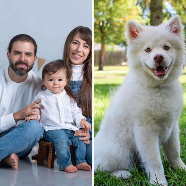 Before transformation